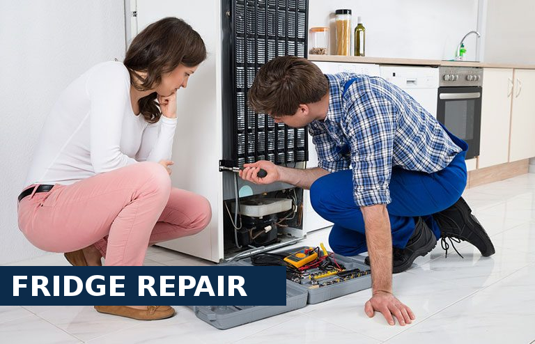 Fridge Repair North Feltham